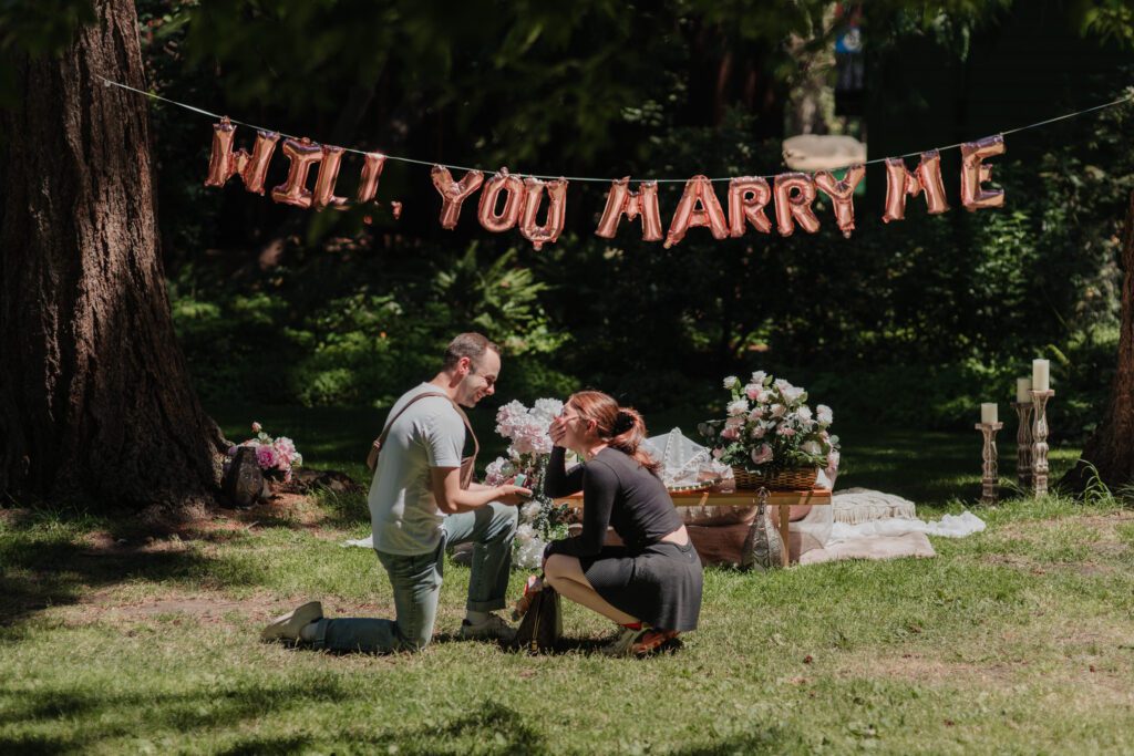 Picnic Proposal